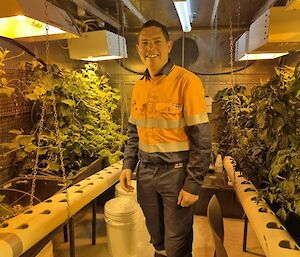Image of expeditioner inside the Casey Hydroponics building (small portable). The expeditioner is standing in the middle as the centre point of the photo. Beside him is greenery underneath UV lighting.