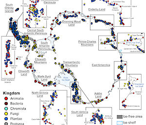 A map showing the location of more than 35,000 records collected across the Antarctic continent, which are now part of The Biodiversity of Ice-free Antarctica Database.