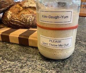 A jar of Dr Jan's sourdough starter - the magic bit