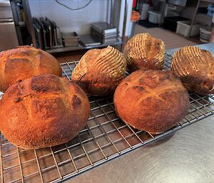 Six freshly baked loaves of sourdough bread at Mawson last Saturday