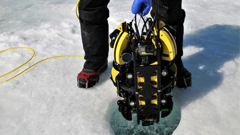 A remotely operated vehicle is put into the ocean through a whole in the icea