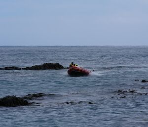 Inflatable rubber boat comes in towards shore through gap between rocks and kelp