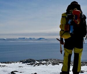 Image of an AAD expeditioner standing to the right side of the image in yellow survival clothing staring out to the water. The background of the image is the ocean dotted with icebergs in the distance.