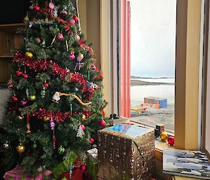 Christmas presents under the Christmas tree at Mawson on Christmas Day