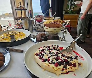 A table full of trifles, tiramisu and pavlovas