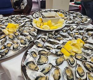 Three trays of oysters in their shells - part of the Cold buffet for Christmas Dinner at Mawson