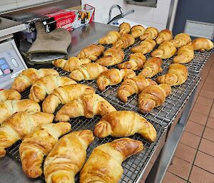 Two trays of freshly baked croissants ready for Christmas Brunch