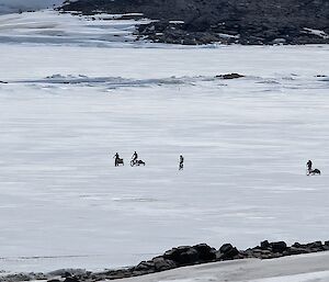 A group of 5 expeditioners ride bicycles along the sea ice on the way back from Bandits Hut.