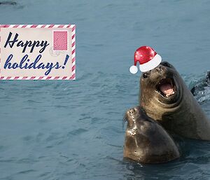 A photoshopped image of a two seals and one wearing a Santa hat