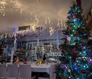 A Christmas tree with lights and a table set for a celebration lunch