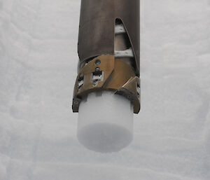 A cylinder of ice poking out from the end of a drill barrel.