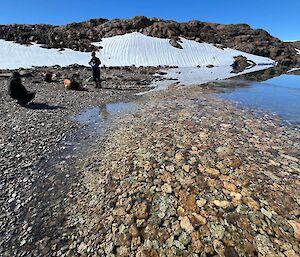Foreground of the image depics brown rocks in shallow water, The mid section of the image has a group of people in black clothing bending down conducting work along the shoreline. The background shows a snow covered hill.