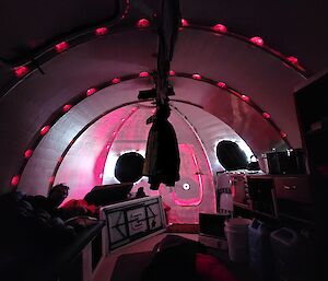 Red glow of inside the melon tent