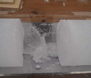 Shattered pieces of ice core between two complete ice core sections