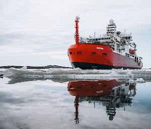 The Nuyina near East arm breaking up the sea-ice in the mouth of Horseshoe Harbour