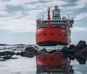 The Nuyina breaking up the sea-ice at the mouth of Horseshoe Harbour