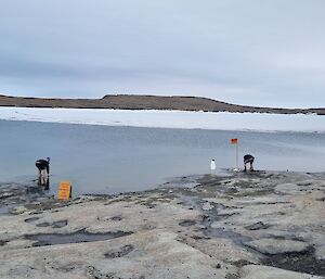 Mawson Beach getting ready for the summer swim last week