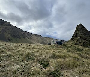 Tussock grass and a windswept hillside with a hut in the distance
