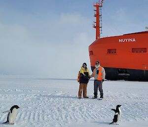 Two expeditioners standing on the ice in front of the Nuyina, shaking hands