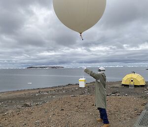 A large white balloon being released into the sky.