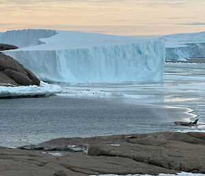 Stunning photo of an iceberg and water with an orca in it