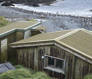 Looking at field hut from above with beach with penguins in distance