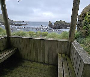Front porch of hut with hills and beach with penguins as the view