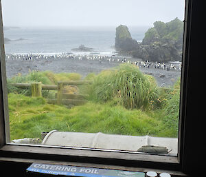 Dining table pushed up against window, view out of the window shows grassed area leading to beach with king penguin colony