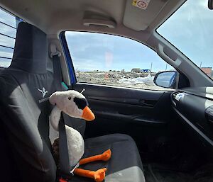 Image of plush toy sitting in ute car with seatbelt on.