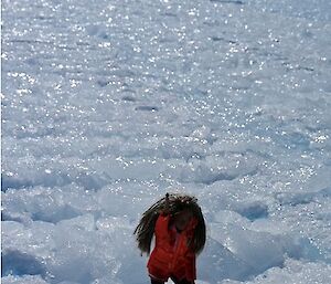 A barbie doll in the snow, wearing outdoor gear