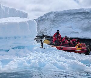 Image of a Inflatable Rubber Boat with expeditioners aboard, moving past an iceberg with an Adelie penguin on it.