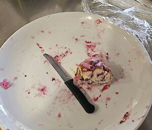 A plate with a tiny bit of cake on it