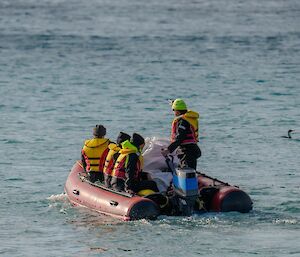 Coxswain of the IRB stands at the tiller, while other three passengers sit on left side of the boat. Boat heads away from the shore.