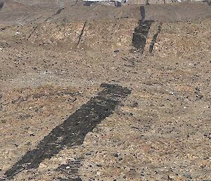 A long strip of black dolerite in a large slab of grey-brown rock