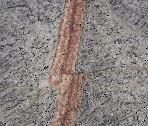 A strip of brown coloured quartz through another rock