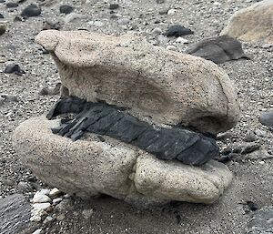 A black piece of rock sandwiched between two grey rocks