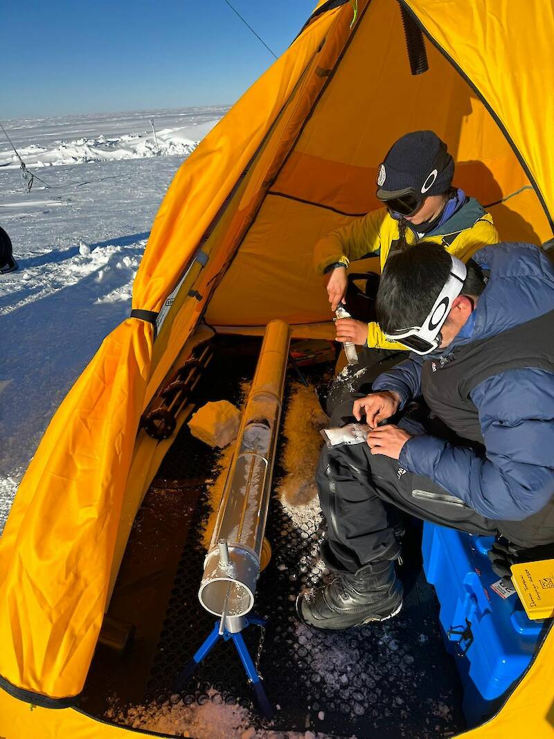 Two people sitting inside a yellow tent collecting pieces of ice from a metal cylinder and placing them in to small plastic bags.