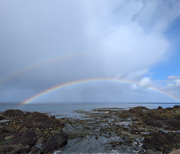 Two rainbows over the ocean with kelp-covered rocks in the foreground