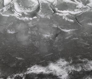 Black and white photo of pancake-shaped ice on a frozen lake