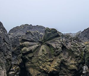 An interesting butterfly-shaped pattern in rock
