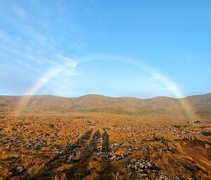 A rainbow stretching across a sun-lit valley of vegetation with rounded hills in the background