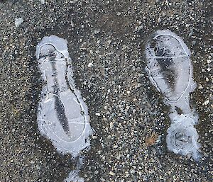 Tow human footprints defined by ice/snow on gravelly ground