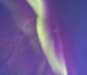 A close-up of a ribbon of green and purple aurora in the night sky
