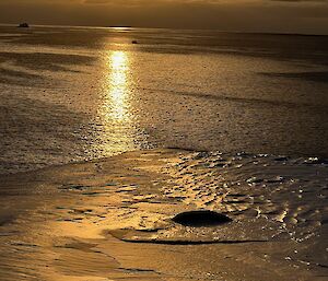 The sun setting on the horizon with the ocean and an ice ledge in front all glowing with bright orange from the sunset