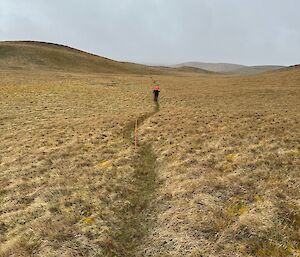 Person in the distance carrying pack and walks along a grass walking route through a valley