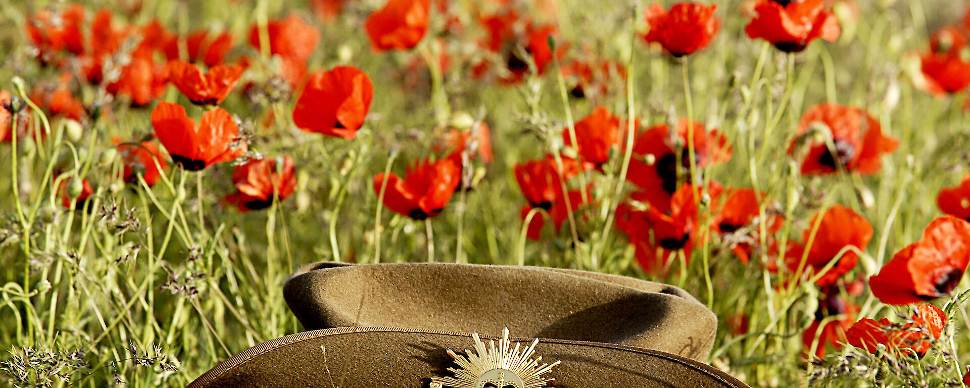 A diggers hat lying in a field of red poppies