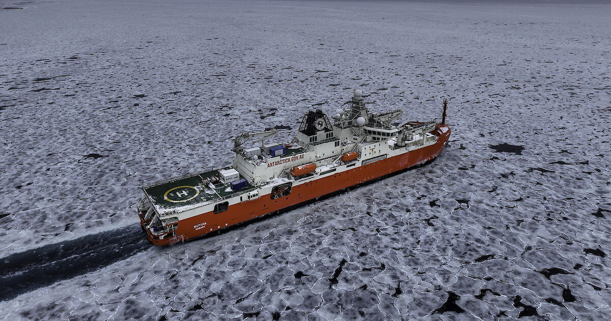 Denman Marine Voyage returns after critical research voyage to glacier – Australian Antarctic Program (News 2025)