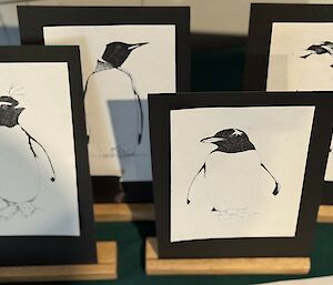 Pen drawings of penguins of Macquarie Island