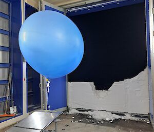 A blue weather balloon ready to be released