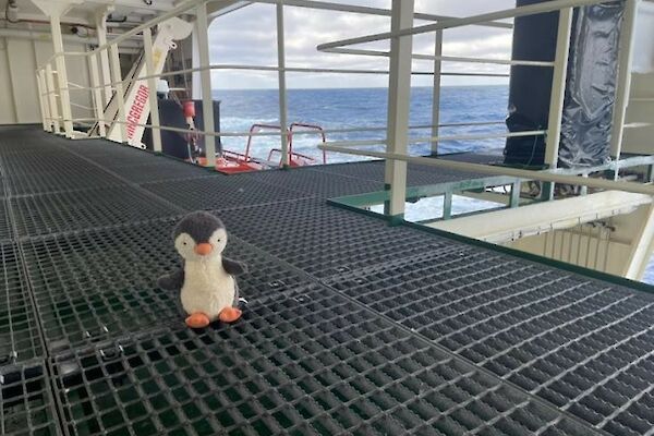toy penguin on deck of ship